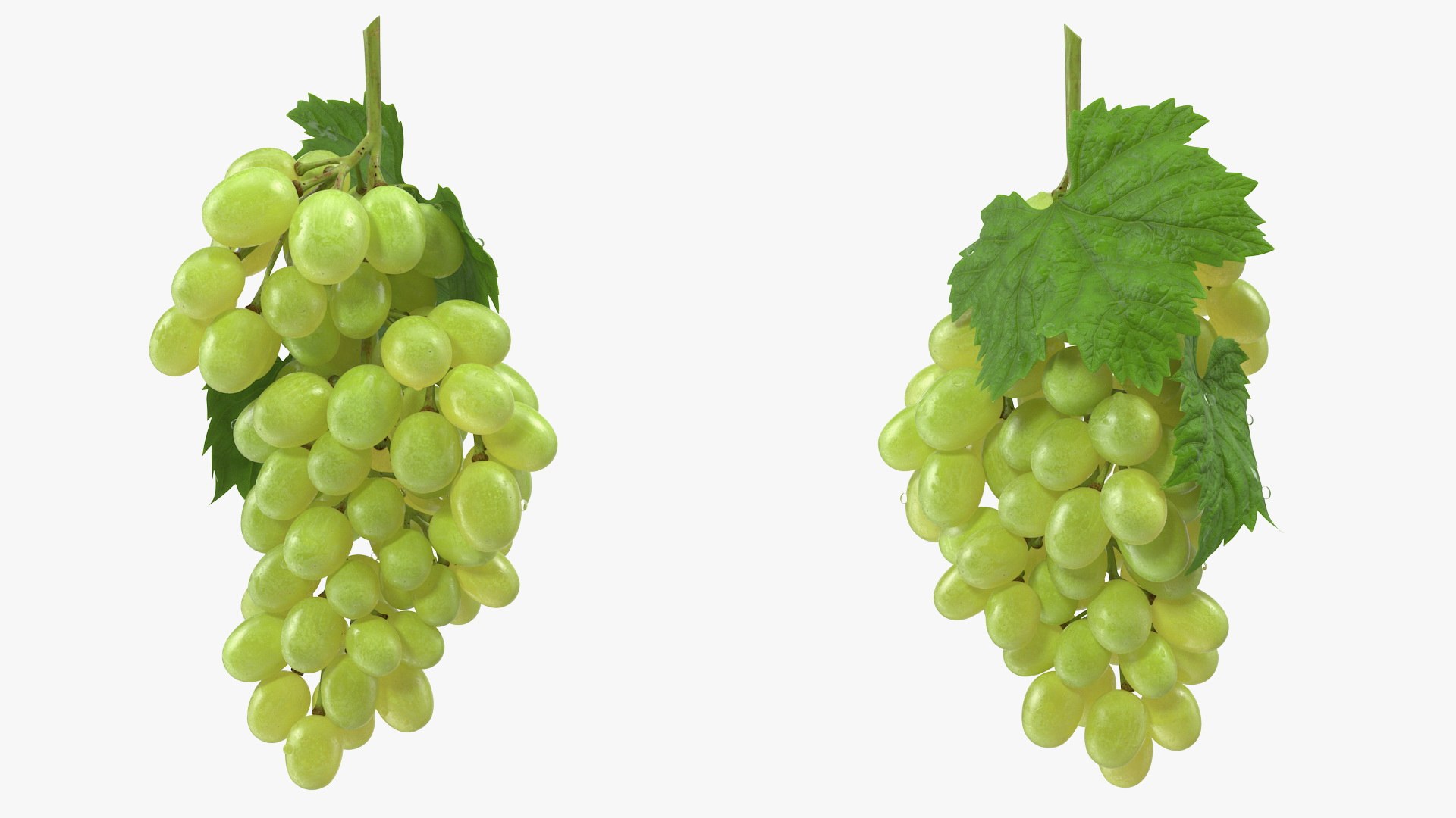 bunch green grapes 3D https://p.turbosquid.com/ts-thumb/5n/WldcG4/vLI0EZHa/bunchofgreengrapesvray3dmodel004/jpg/1580391838/1920x1080/fit_q87/6825f73e6e945ae588d23d4c033b06a080371fe7/bunchofgreengrapesvray3dmodel004.jpg