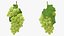 Grappolo d'uva verde