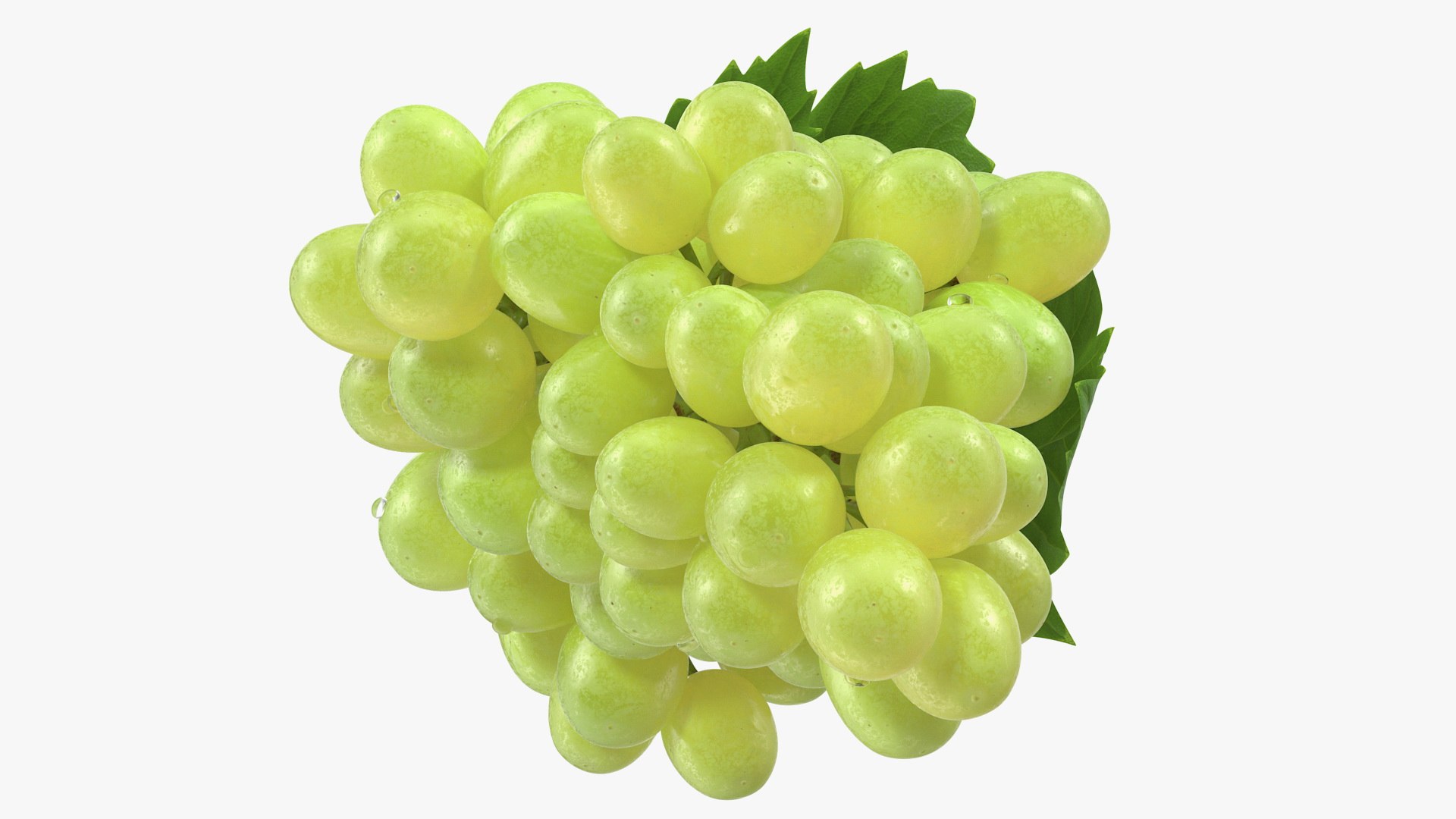 bunch green grapes 3D https://p.turbosquid.com/ts-thumb/5n/WldcG4/xpmC7YYd/bunchofgreengrapesvray3dmodel006/jpg/1580391849/1920x1080/fit_q87/59b2d04b23a401ef3ea574cc3ff90d46093be7a1/bunchofgreengrapesvray3dmodel006.jpg