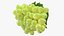 Grappolo d'uva verde