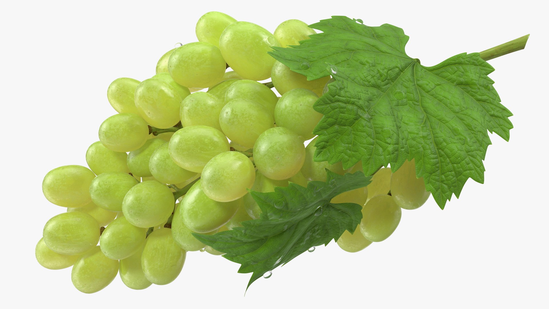 bunch green grapes 3D https://p.turbosquid.com/ts-thumb/5n/WldcG4/ytbHraVe/bunchofgreengrapesvray3dmodel005/jpg/1580391844/1920x1080/fit_q87/e0a66dcfadb419db2e24a430be93dd5dfc68f154/bunchofgreengrapesvray3dmodel005.jpg