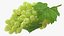 Grappolo d'uva verde