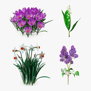 3D Spring Flowers Collection