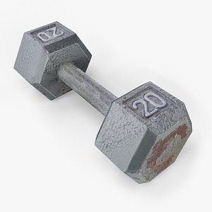 20lb Worn Dumbbell