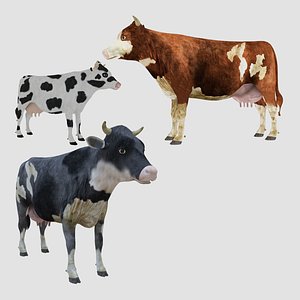 Low Poly Cow Collection - 3 Cow Models - 4K - Unwrapped