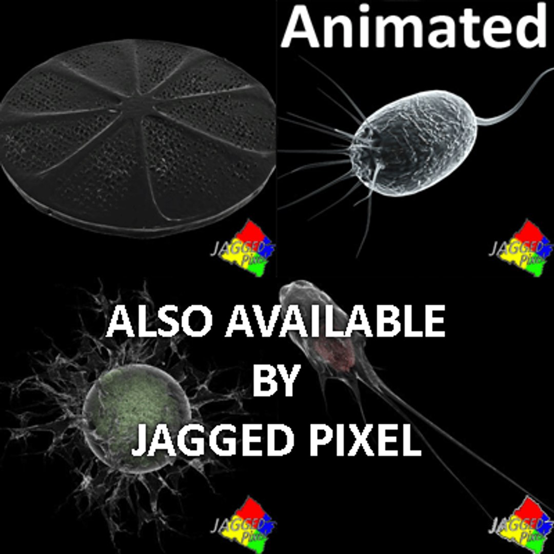 bacillus virus bacteria 2 max free https://p.turbosquid.com/ts-thumb/5n/xYsqxJ/ASDuyxQZ/10/gif/1191890706/1920x1080/fit_q87/c8b9782deaa0afa4b6da84be0afddf3e4980f883/10.jpg