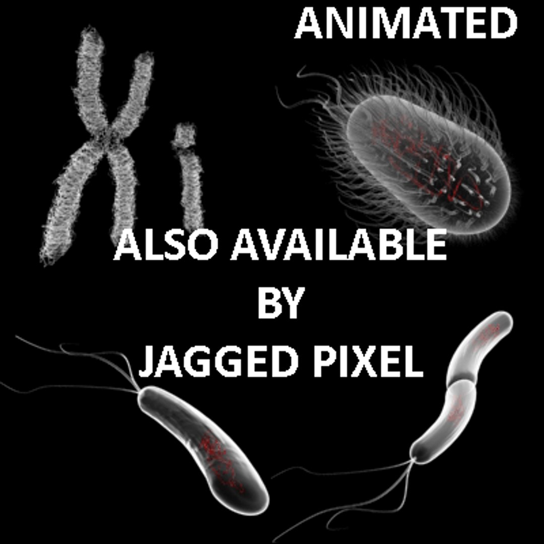 bacillus virus bacteria 2 max free https://p.turbosquid.com/ts-thumb/5n/xYsqxJ/IEF8FX7t/23/gif/1191890799/1920x1080/fit_q87/6f09ed1521d82c0ae43633d2a47c5df2dc19cdfe/23.jpg