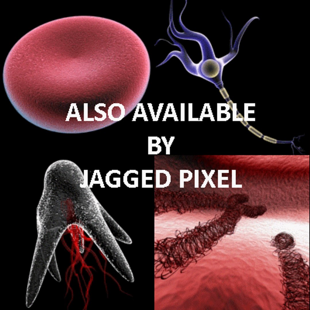bacillus virus bacteria 2 max free https://p.turbosquid.com/ts-thumb/5n/xYsqxJ/Rj1VBpGt/22/gif/1191890794/1920x1080/fit_q87/7b367d9c5a7ed8ff1b3eaab0b4be10f990abd7ec/22.jpg