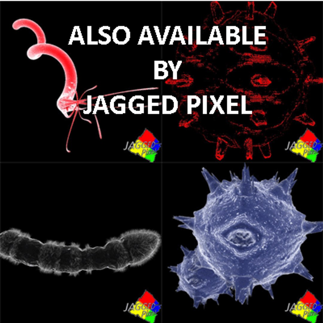 bacillus virus bacteria 2 max free https://p.turbosquid.com/ts-thumb/5n/xYsqxJ/SufHiWiD/1/gif/1191890656/1920x1080/fit_q87/0af058a4853f3e4432df709e19d55179b2fe9207/1.jpg