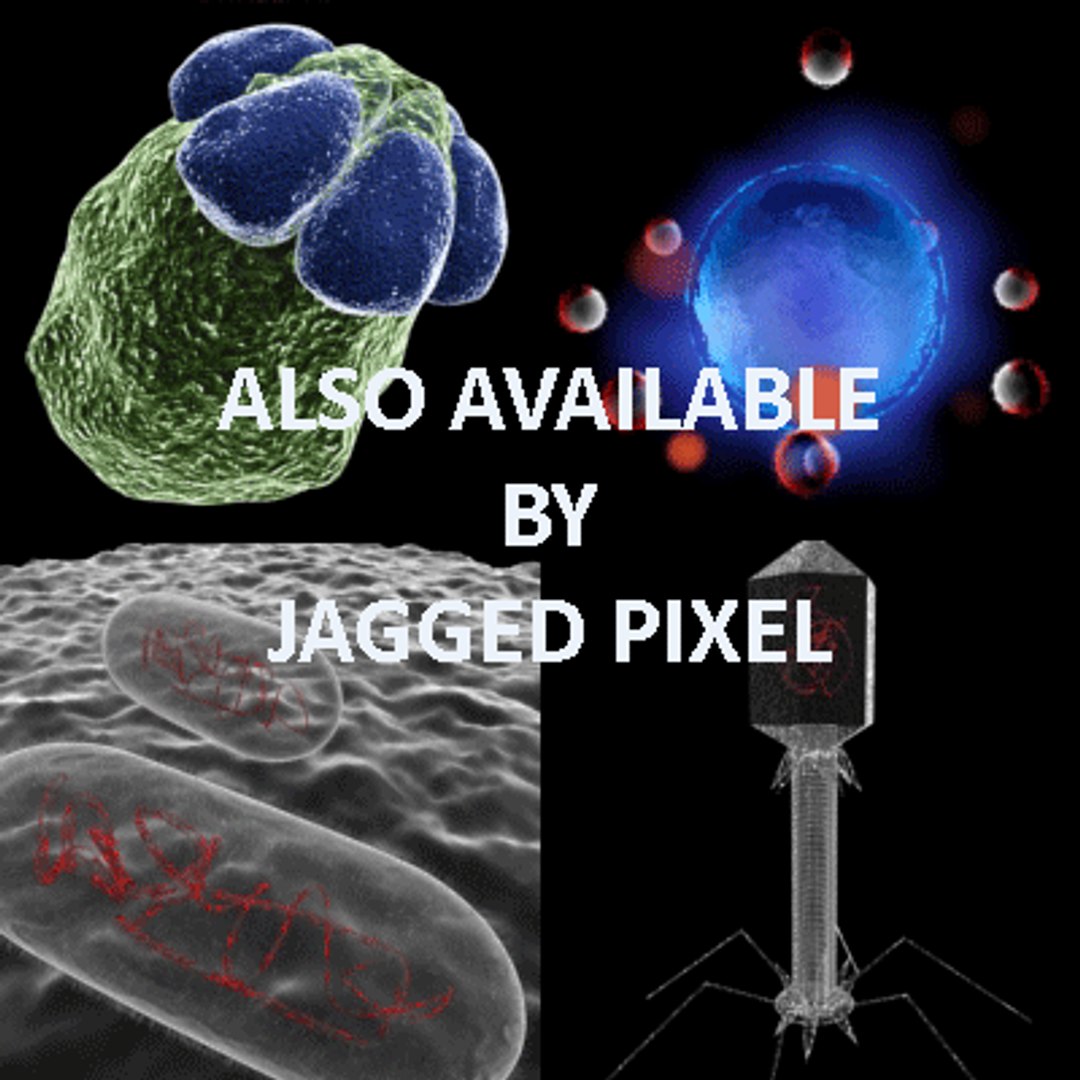 bacillus virus bacteria 2 max free https://p.turbosquid.com/ts-thumb/5n/xYsqxJ/VD2LAuAG/21/gif/1191890790/1920x1080/fit_q87/e92f83123fddd209688dac683ddc5f6f4b4ed43e/21.jpg