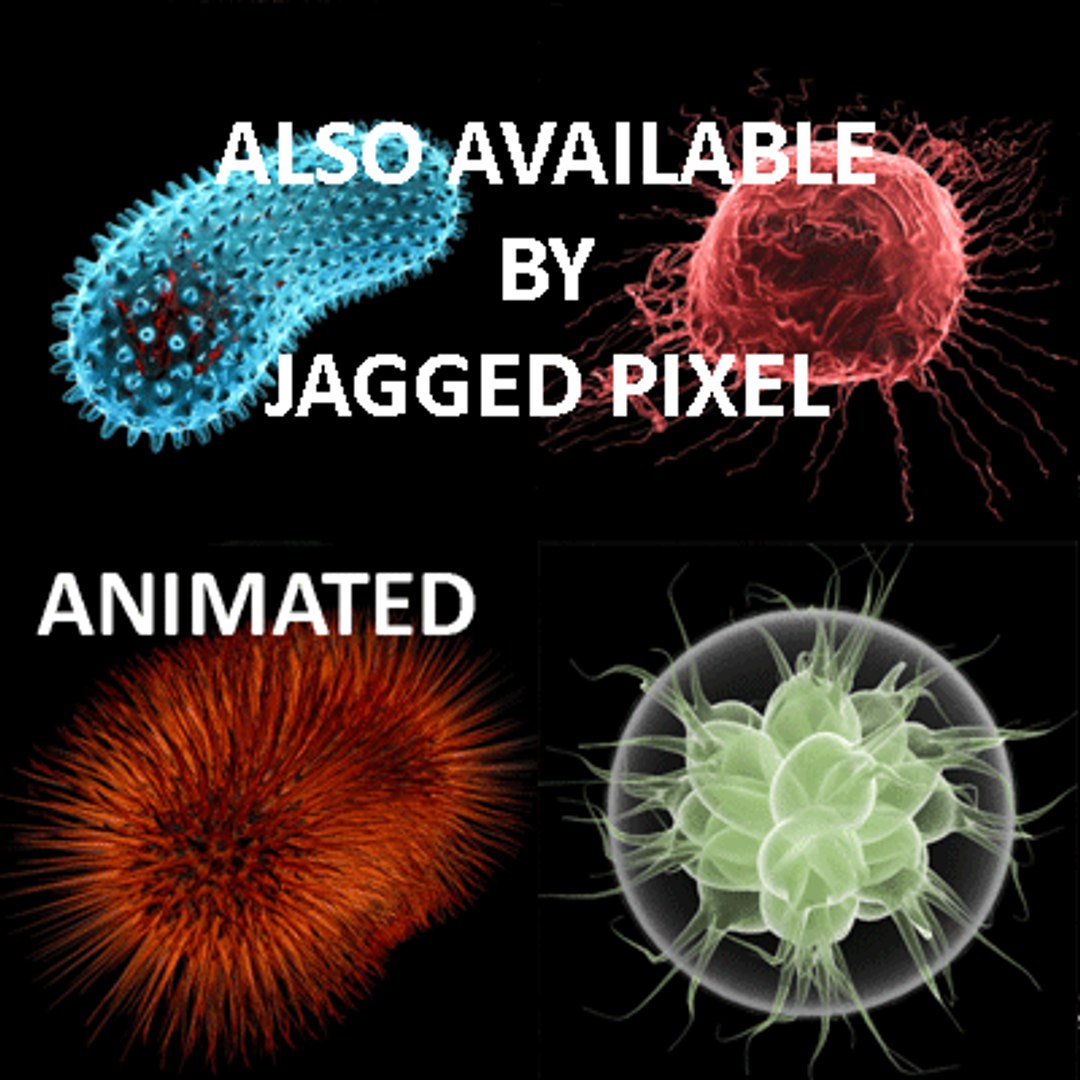 bacillus virus bacteria 2 max free https://p.turbosquid.com/ts-thumb/5n/xYsqxJ/ed89vuwk/13/gif/1191890806/1920x1080/fit_q87/b829a71b1d7b0ce9685f16ca6b60397c90fdd33e/13.jpg