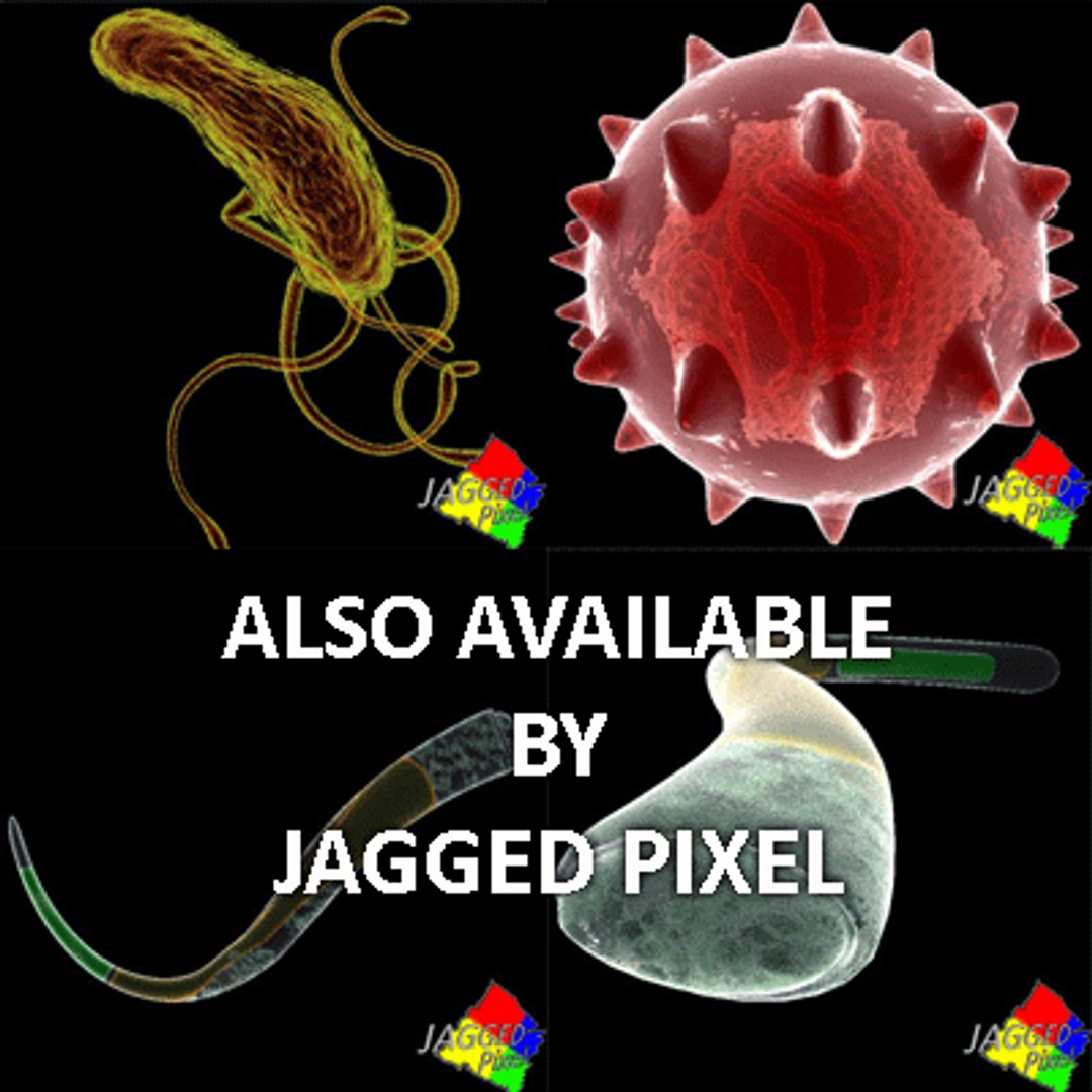 bacillus virus bacteria 2 max free https://p.turbosquid.com/ts-thumb/5n/xYsqxJ/i40qyHpW/3/gif/1191890737/1920x1080/fit_q87/50cf1957524eeb3c6e96266a02846a5dba0c612a/3.jpg