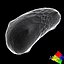 Free Bacillus 2