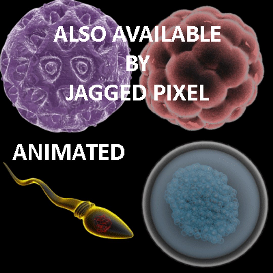 bacillus virus bacteria 2 max free https://p.turbosquid.com/ts-thumb/5n/xYsqxJ/kjgNWzuI/26/gif/1191890905/1920x1080/fit_q87/a85c3f017b4bd1519d2456104edde6355b8b7267/26.jpg