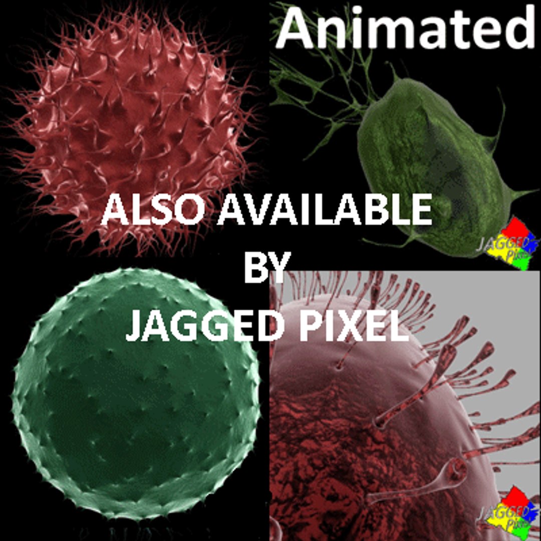 bacillus virus bacteria 2 max free https://p.turbosquid.com/ts-thumb/5n/xYsqxJ/qnWtdjf9/12/gif/1191890727/1920x1080/fit_q87/faab51393775e924c4dc5729b0ecbce3b3a34da5/12.jpg