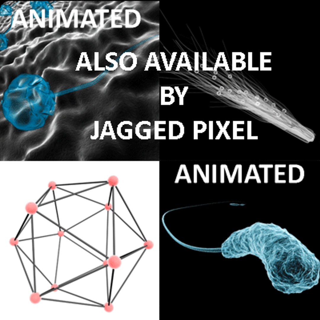 bacillus virus bacteria 2 max free https://p.turbosquid.com/ts-thumb/5n/xYsqxJ/t96EQpsI/17/gif/1191890764/1920x1080/fit_q87/e5cb9d38854944829cc6a7376652a61d32df9718/17.jpg