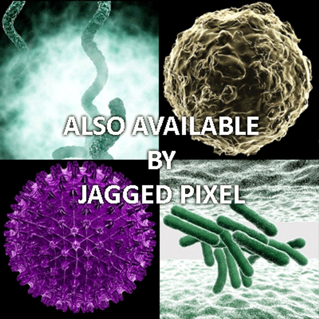 bacillus virus bacteria 2 max free https://p.turbosquid.com/ts-thumb/5n/xYsqxJ/vbIIxwFc/15/gif/1191890747/1920x1080/fit_q87/1ccc38842e27ec2d9e22c182a75254f8af426226/15.jpg