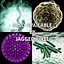 Free Bacillus 2