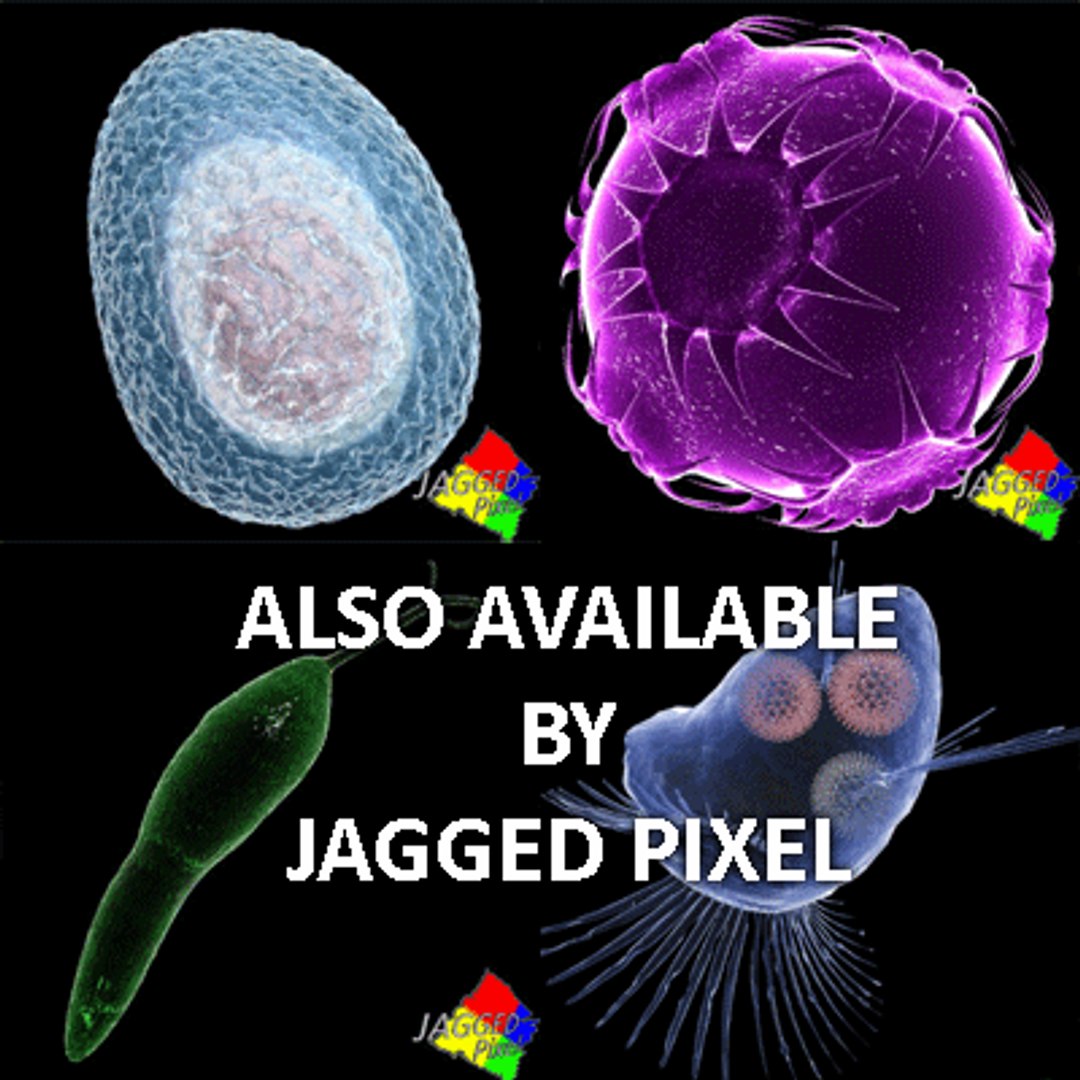 bacillus virus bacteria 2 max free https://p.turbosquid.com/ts-thumb/5n/xYsqxJ/zuSnavkl/2/gif/1191890655/1920x1080/fit_q87/d635c3afa108da97cab32d3f5124d8e170f61a08/2.jpg