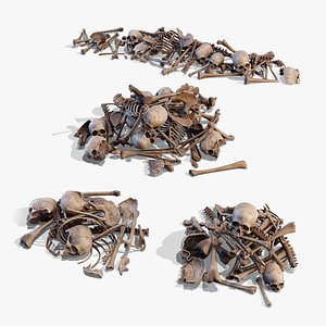 Human Bones Pile 3D