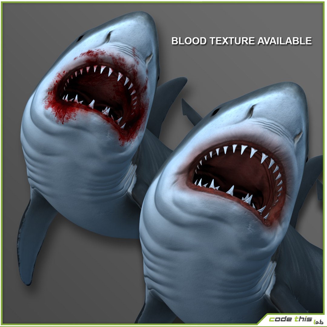 3d scuba cage https://p.turbosquid.com/ts-thumb/5o/JpDeft/flRqlIGx/image_32/jpg/1430835866/1920x1080/fit_q87/c31b7ea4c72feb2aa9e0d29ff6a7b53e4bc12a34/image_32.jpg
