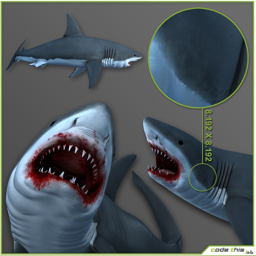 3d scuba cage https://p.turbosquid.com/ts-thumb/5o/JpDeft/l0CE68vC/image_31/jpg/1430835866/1920x1080/fit_q87/604941852b08b5a5a7c5084081058e56f1860ee2/image_31.jpg