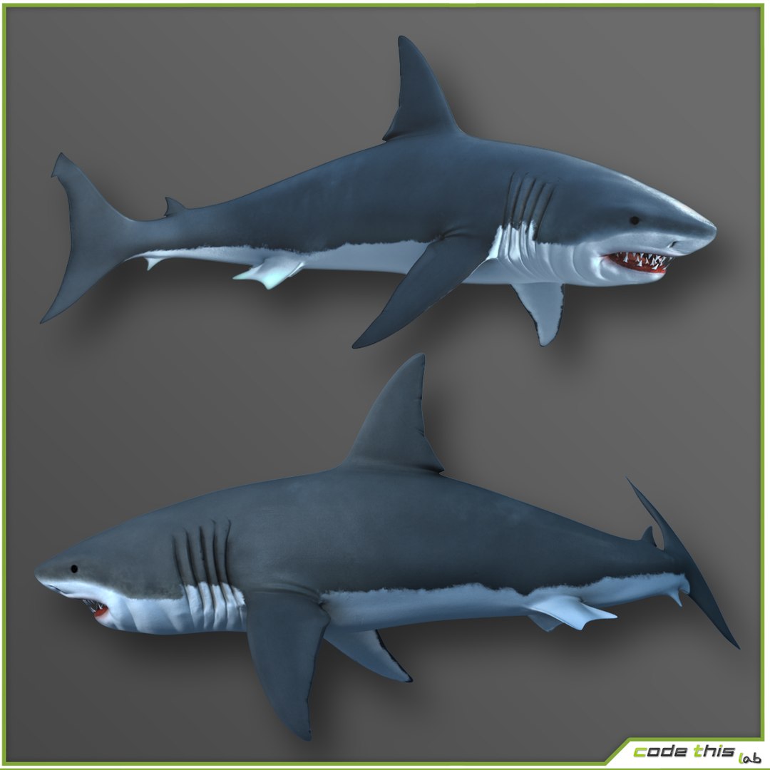 3d scuba cage https://p.turbosquid.com/ts-thumb/5o/JpDeft/y1IolozS/image_30/jpg/1430835866/1920x1080/fit_q87/f185939c3e524af5adca6490f0782c58b2f6dcf3/image_30.jpg