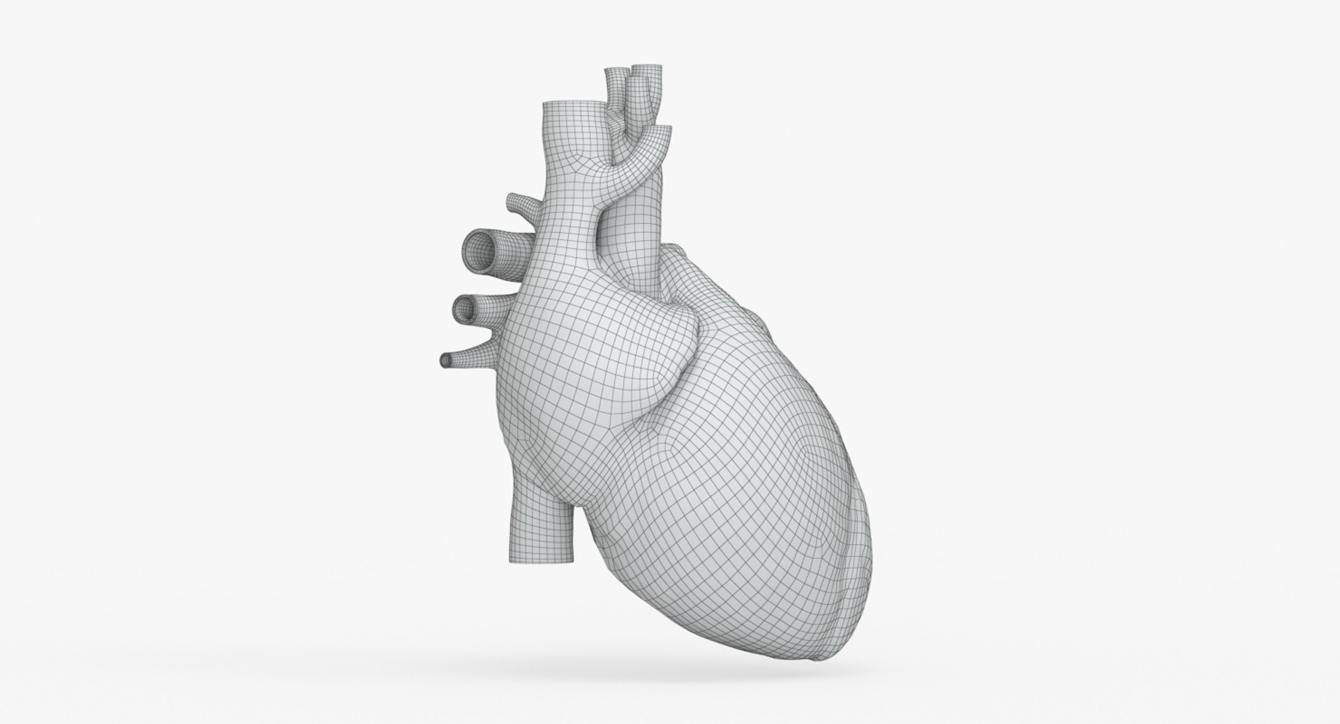 3D Human Heart - TurboSquid 1387273