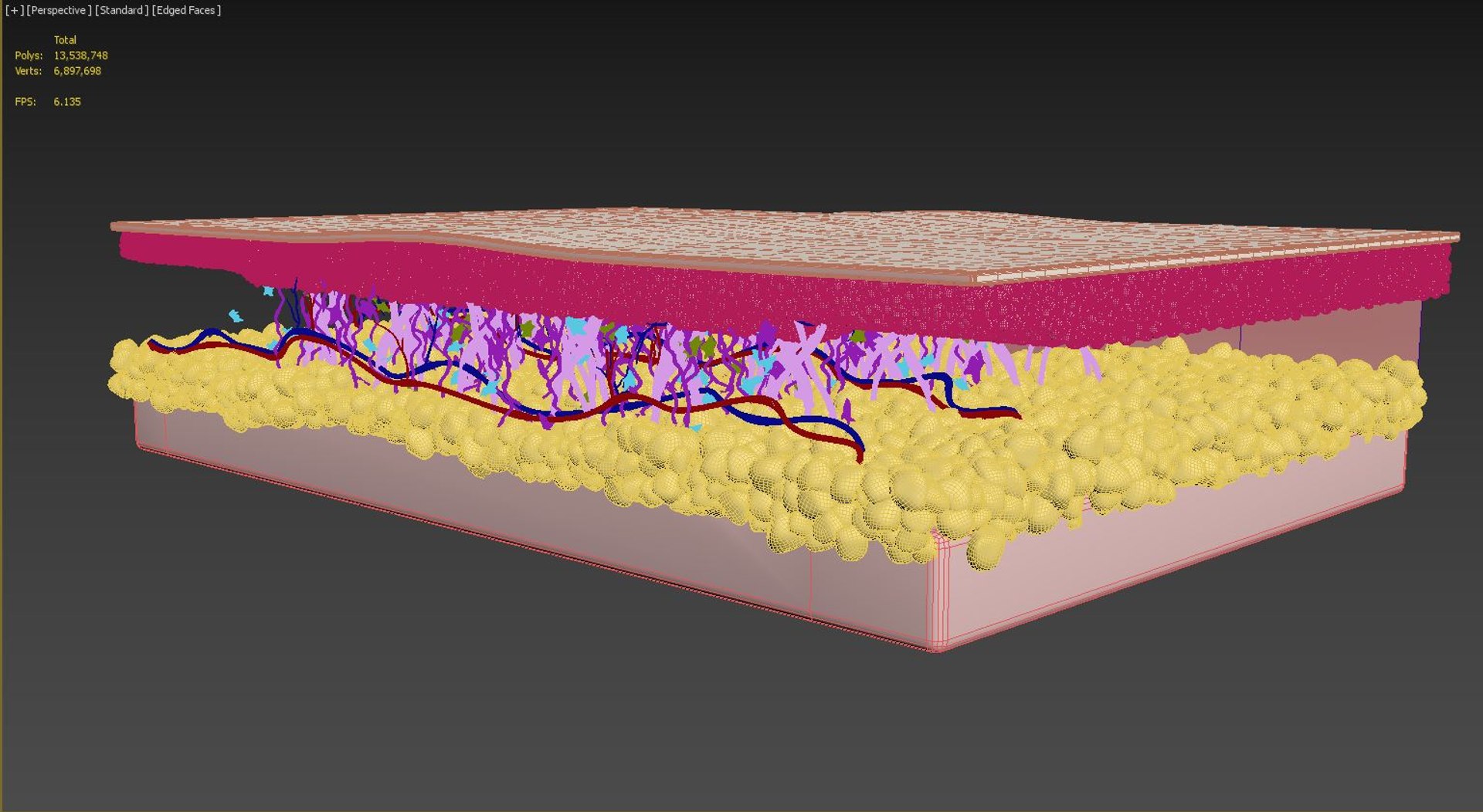 skin cross section 3D model https://p.turbosquid.com/ts-thumb/5o/priD0W/IJRl5GoE/skin_layers_healthy_prntscrn/jpg/1529027441/1920x1080/fit_q87/d58679cf919df1b00e7324f30cb4370721252cef/skin_layers_healthy_prntscrn.jpg