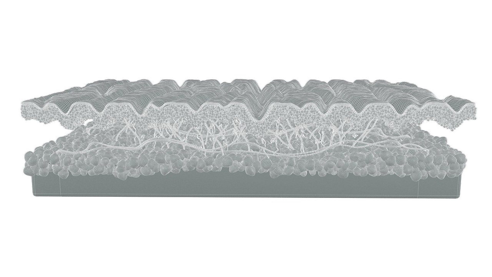 skin cross section 3D model https://p.turbosquid.com/ts-thumb/5o/priD0W/Q63f35GM/skin_layers_wrinkled_r_0004_undry_wire/jpg/1529027428/1920x1080/fit_q87/bc98222ddade6edbd7875ae1bb4a31fa9fb48d75/skin_layers_wrinkled_r_0004_undry_wire.jpg