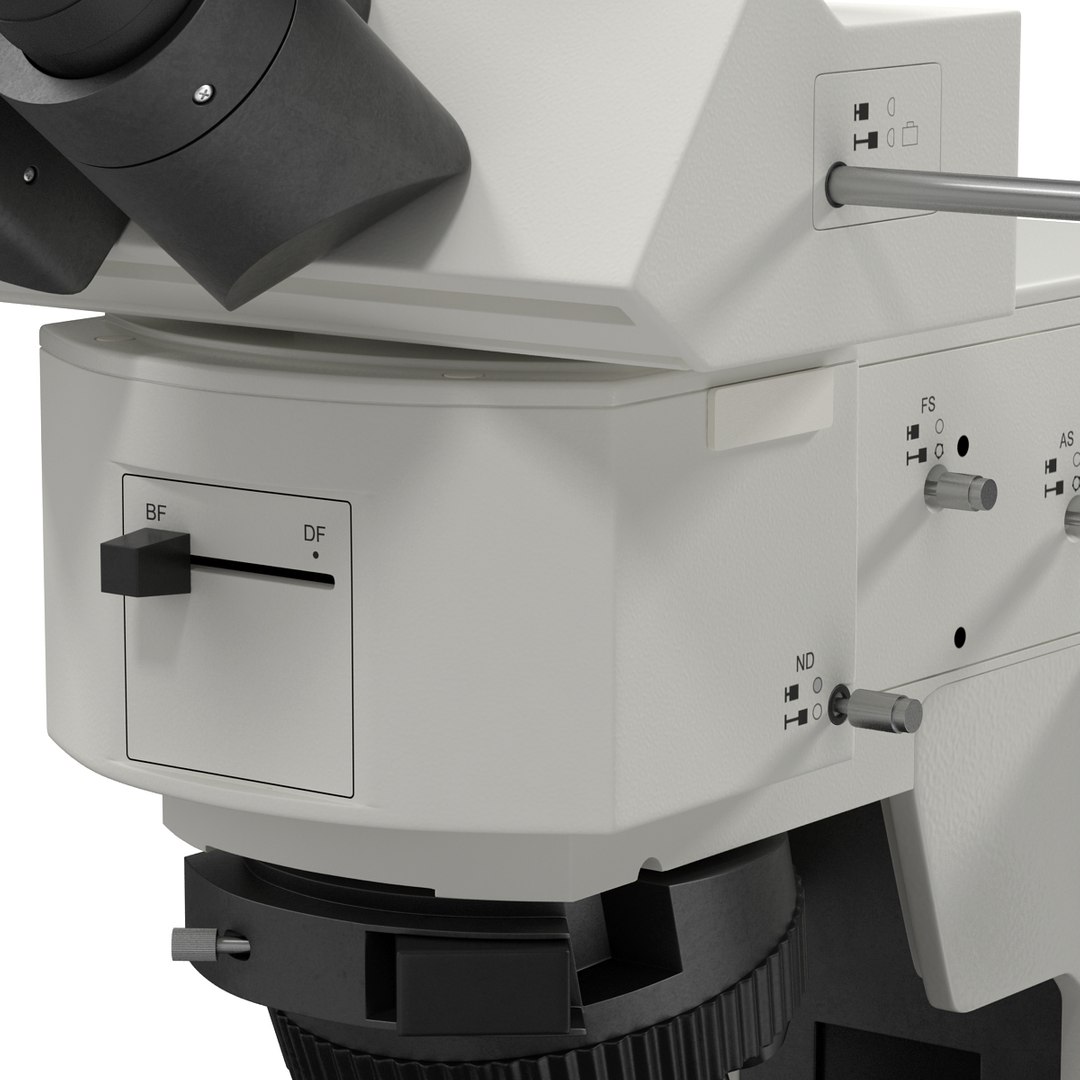 3d professional fluorescence microscope generic model https://p.turbosquid.com/ts-thumb/5o/z2CVmw/eG1yX1zg/professionalfluorescencemicroscopegeneric3dmodel20/jpg/1431662254/1920x1080/fit_q87/648fbfa0d8d9c2e718ec40823913921796104bc2/professionalfluorescencemicroscopegeneric3dmodel20.jpg