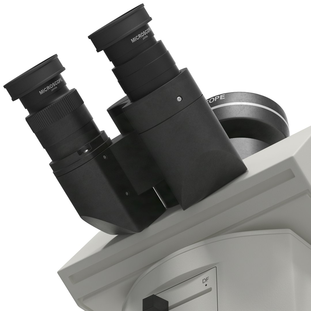 3d professional fluorescence microscope generic model https://p.turbosquid.com/ts-thumb/5o/z2CVmw/gU6o4Ahu/professionalfluorescencemicroscopegeneric3dmodel24/jpg/1431662254/1920x1080/fit_q87/9bff505733375d22ede8e22416d8dd773220bb40/professionalfluorescencemicroscopegeneric3dmodel24.jpg