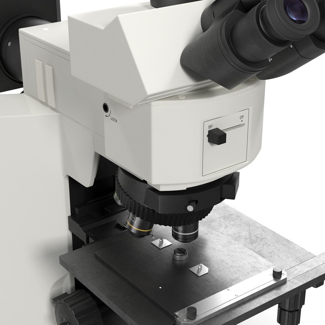 3d professional fluorescence microscope generic model https://p.turbosquid.com/ts-thumb/5o/z2CVmw/m5tg4rqD/professionalfluorescencemicroscopegeneric3dmodel12/jpg/1431662254/1920x1080/fit_q87/1f2ce5c1cc388b1fbb5dd32ed6d63cf46304ac7b/professionalfluorescencemicroscopegeneric3dmodel12.jpg