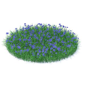 Grass with Cornflowers 3D Model
