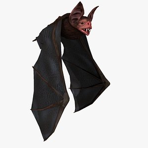 Vampire Bat (ANIMATED)