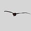 Vampire Bat (ANIMATED)