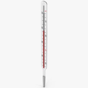 Clinical Thermometer 3D model
