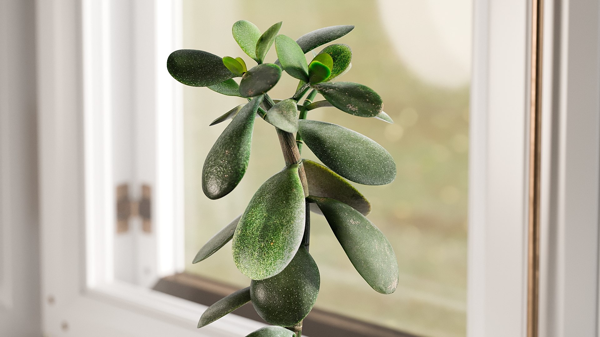 3D Model Money Tree With Windows - Different Colors - TurboSquid 1735971