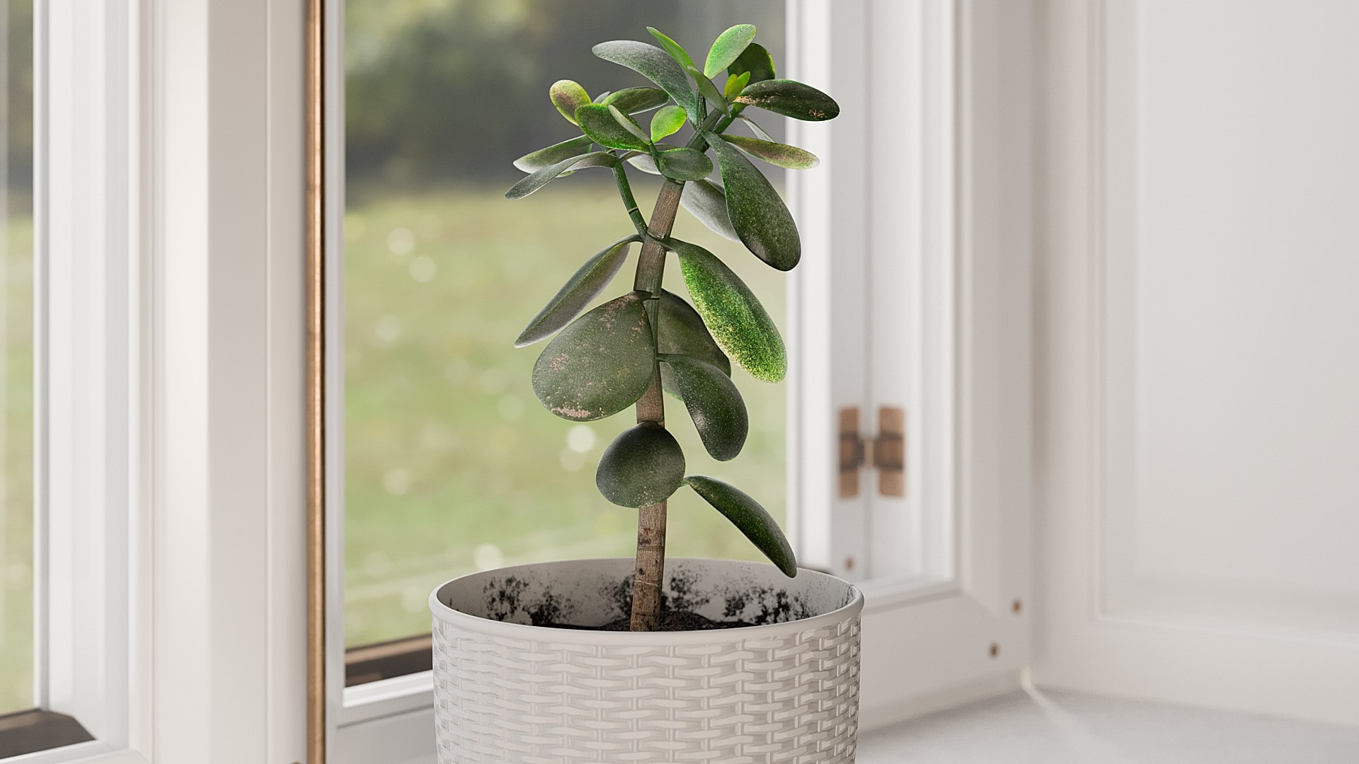3D Model Money Tree With Windows - Different Colors - TurboSquid 1735971