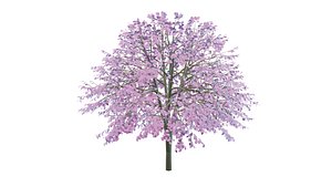 Cherry Tree Low Poly