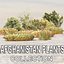 Afganistan rośliny