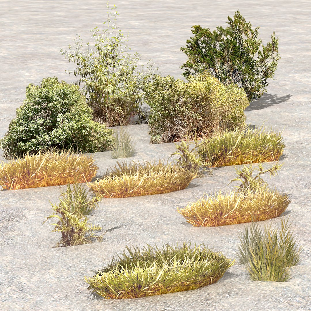 plants afghanistan 3d max https://p.turbosquid.com/ts-thumb/5p/EZgwza/MtLGJngs/bush01/jpg/1330523977/1920x1080/fit_q87/254fcf35c33332fabcd850f0ff90b0e4a2fe2cd8/bush01.jpg