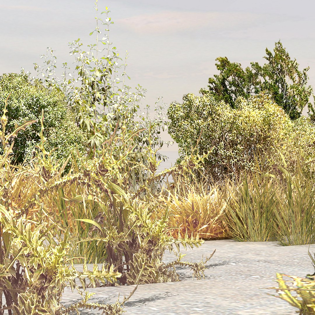 plants afghanistan 3d max https://p.turbosquid.com/ts-thumb/5p/EZgwza/NYYu5YYv/bush06/jpg/1330523977/1920x1080/fit_q87/46fad4acb64cf0fc4f66aa65af81fcc330c79f83/bush06.jpg