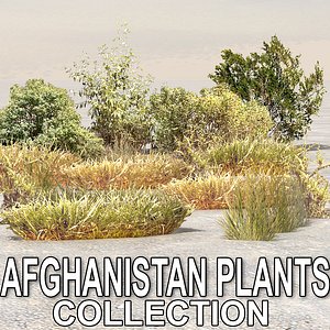 plants afghanistan 3d max