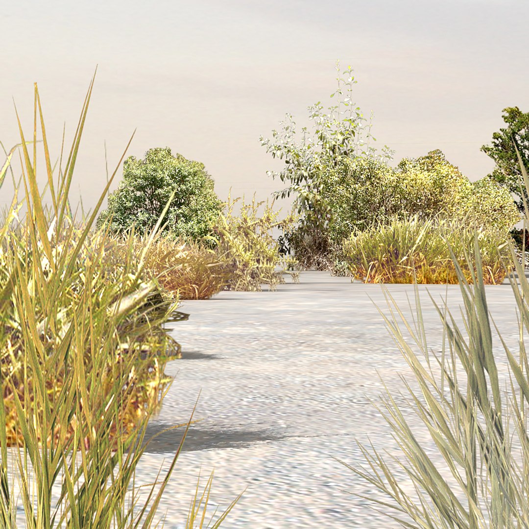 plants afghanistan 3d max https://p.turbosquid.com/ts-thumb/5p/EZgwza/sUntZJ8h/bush05/jpg/1330523977/1920x1080/fit_q87/4925535ebc6ece51117085fb4846d2905befd6b6/bush05.jpg