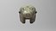 Bear ivory