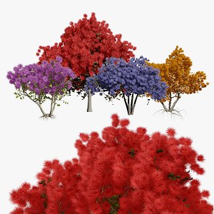 3D model Eurasian smoke tree