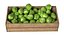Apple Green Wooden Crate