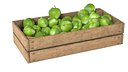 Apple Green Wooden Crate