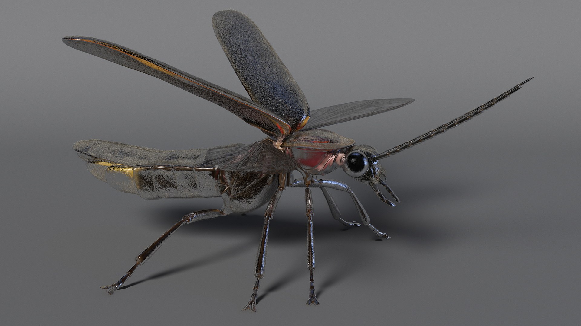 Photinus Pyralis Basic Pose Fur Model - TurboSquid 2170446